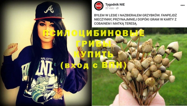 ПСИЛОЦИБИНОВЫЕ ГРИБЫ Абдулино