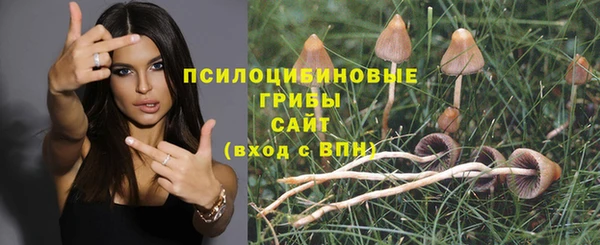 ПСИЛОЦИБИНОВЫЕ ГРИБЫ Абдулино